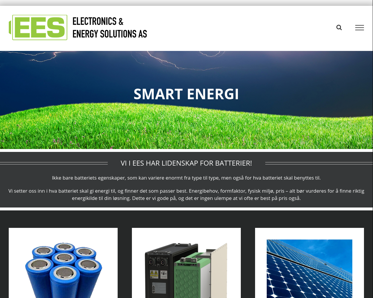 ees.as presentation