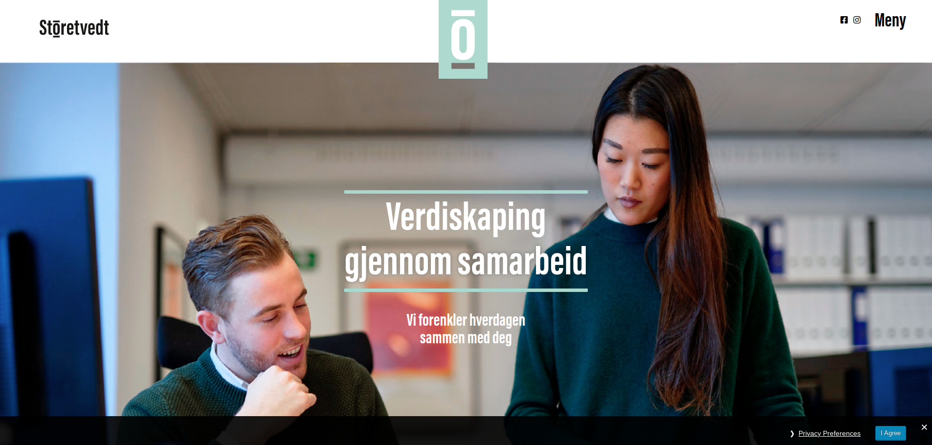 storetvedt.no presentation