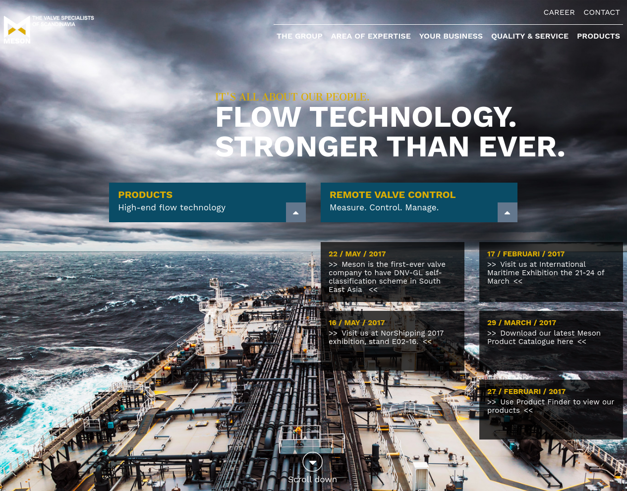 mesongroup.com presentation
